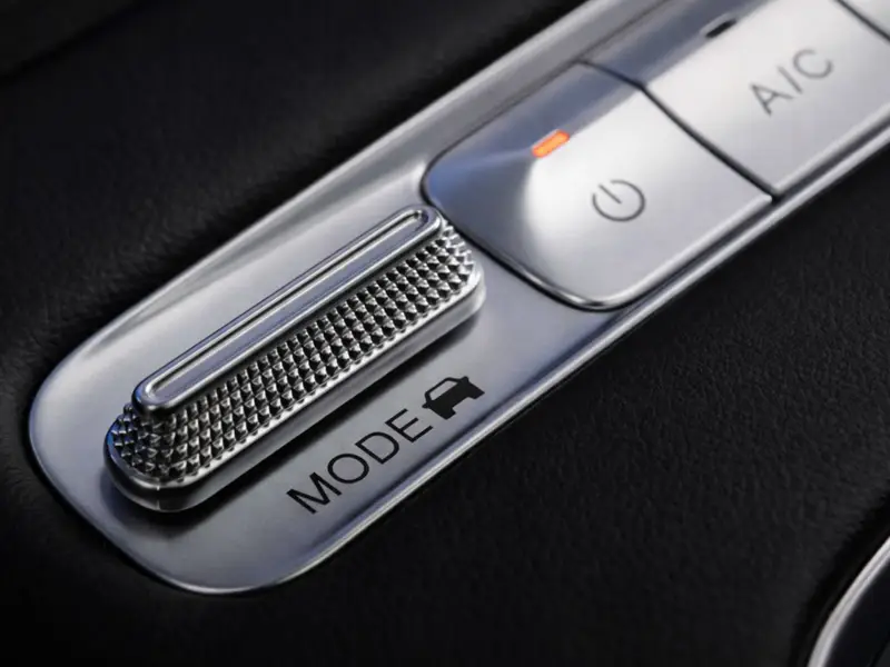 immagine di galleria