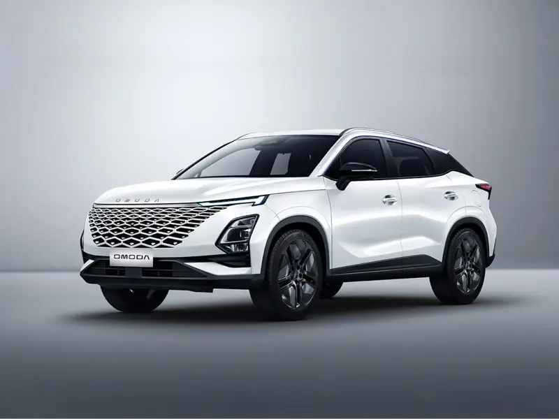 immagine di galleria