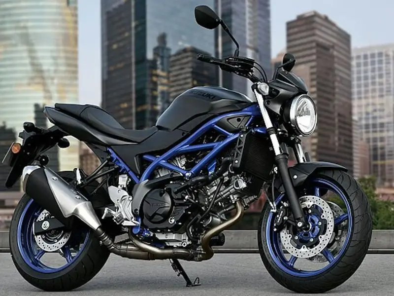 immagine di galleria