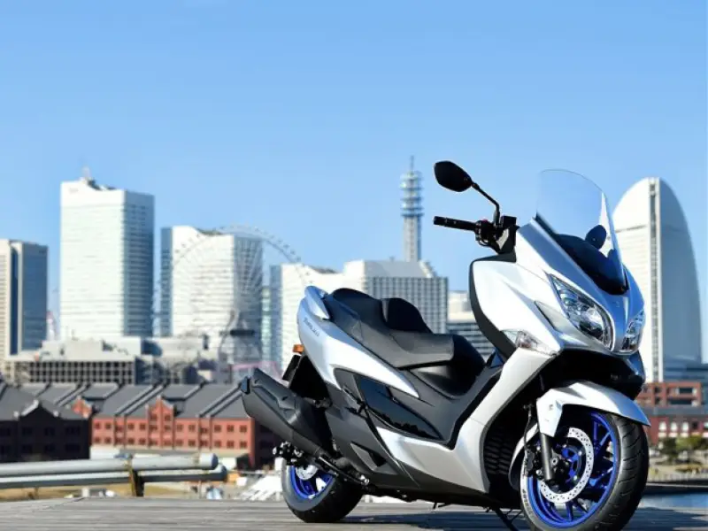 immagine di galleria