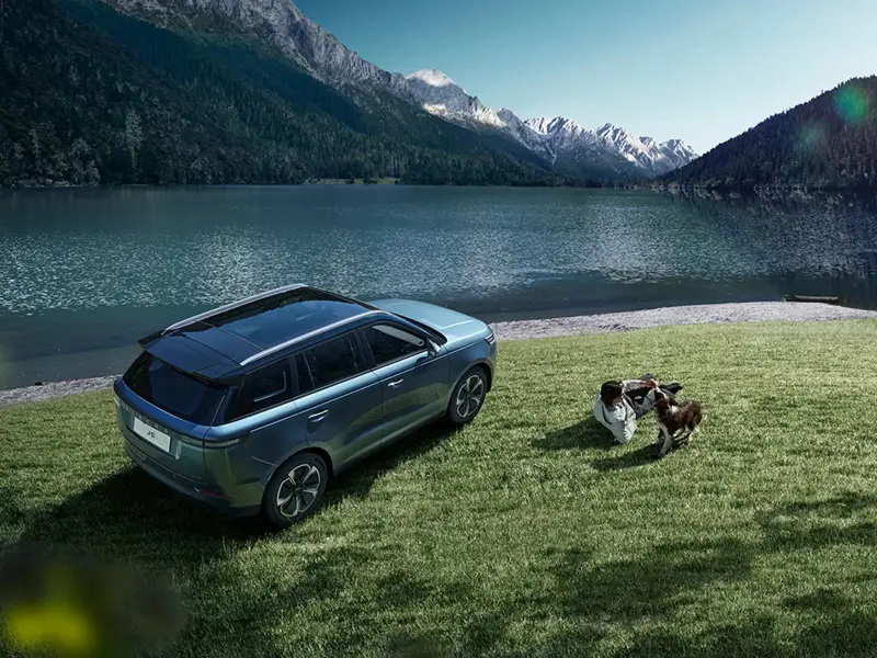 immagine di galleria