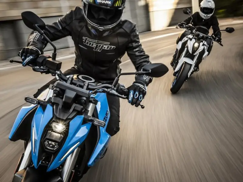 immagine di galleria