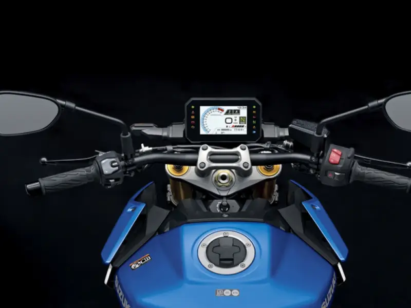 immagine di galleria