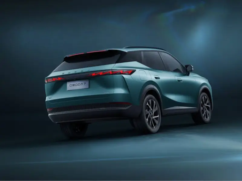 immagine di galleria