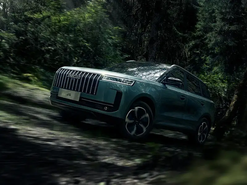 immagine di galleria