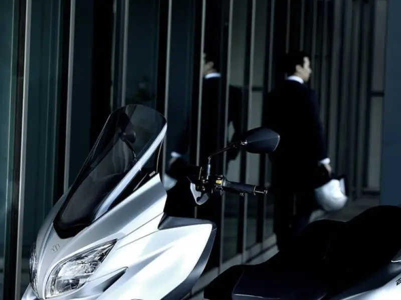 immagine di galleria