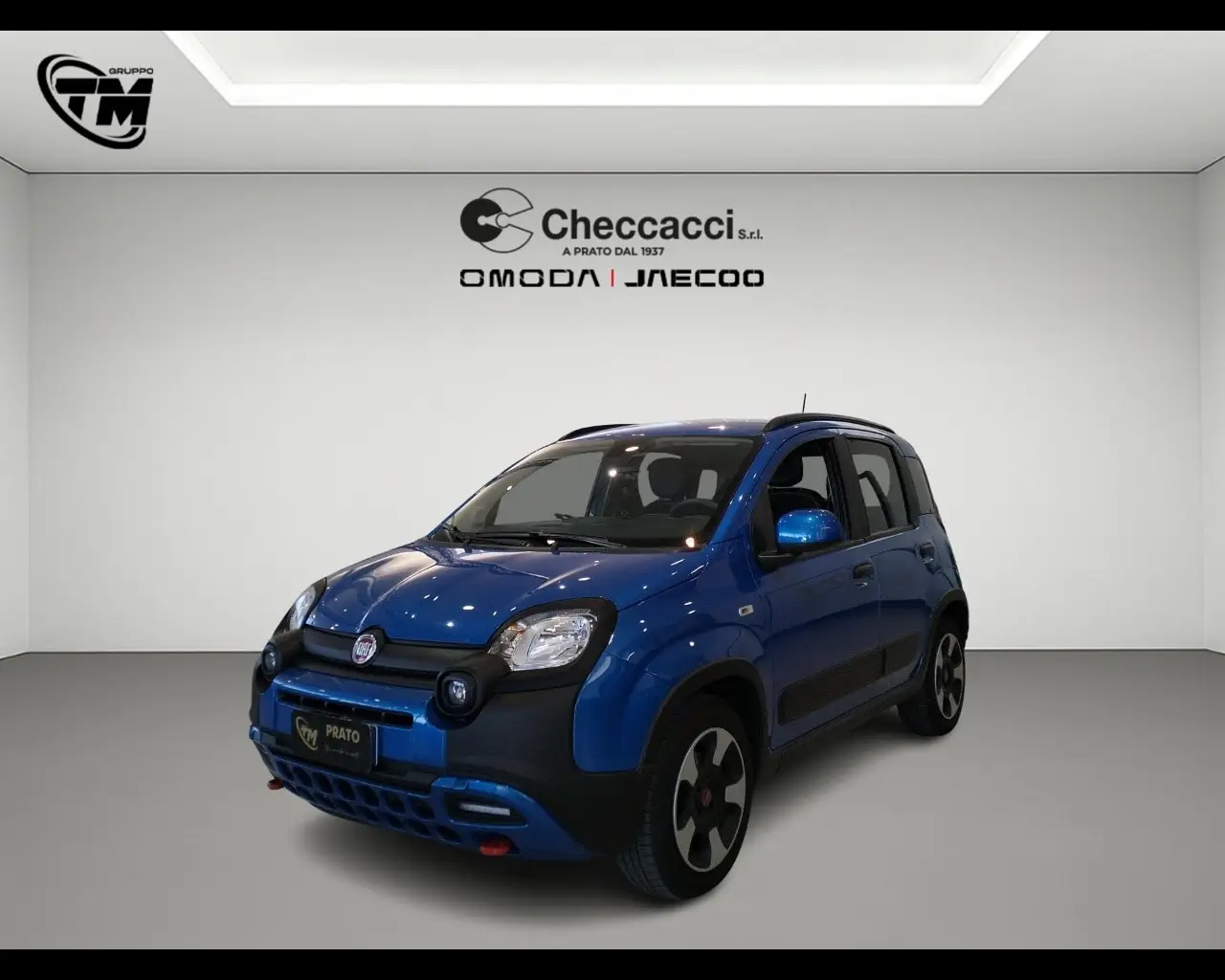 Immagine veicolo FIAT Panda Cross Panda Cross 1.0 FireFly S&S Hybrid Elettrica/Benzina