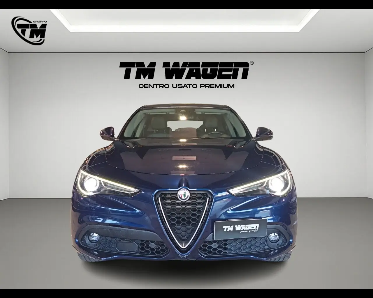 Immagine veicolo ALFA ROMEO Stelvio Stelvio 2.2 Turbodiesel 210 CV AT8 Q4 Ti Diesel