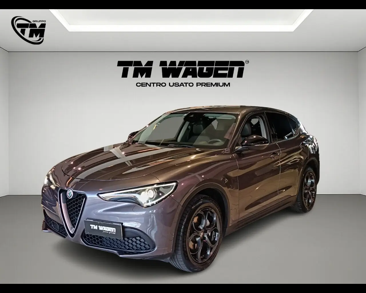 Immagine veicolo ALFA ROMEO Stelvio Stelvio 2.2 Turbodiesel 190 CV AT8 Q4 B-Tech Diesel