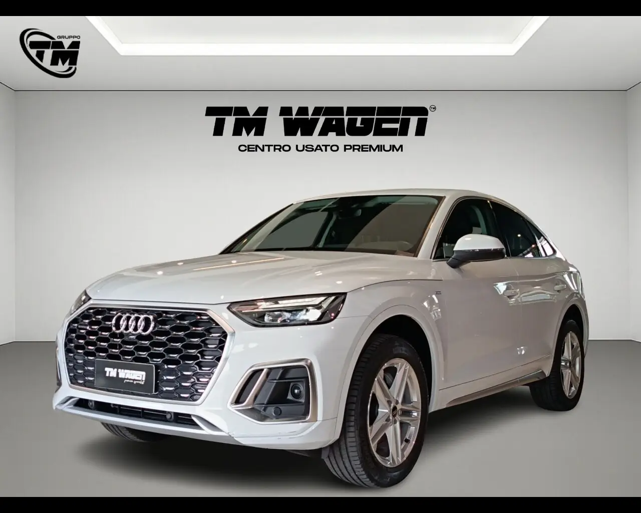 Immagine AUDI Q5