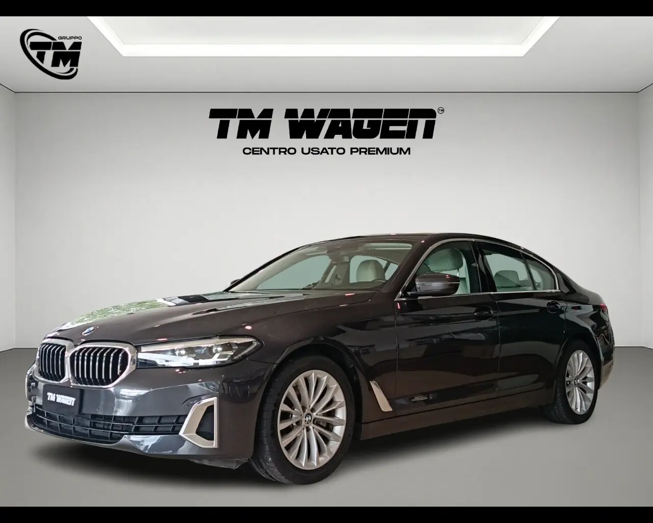 Immagine veicolo BMW Serie 5 520d 48V Luxury Elettrica/Diesel
