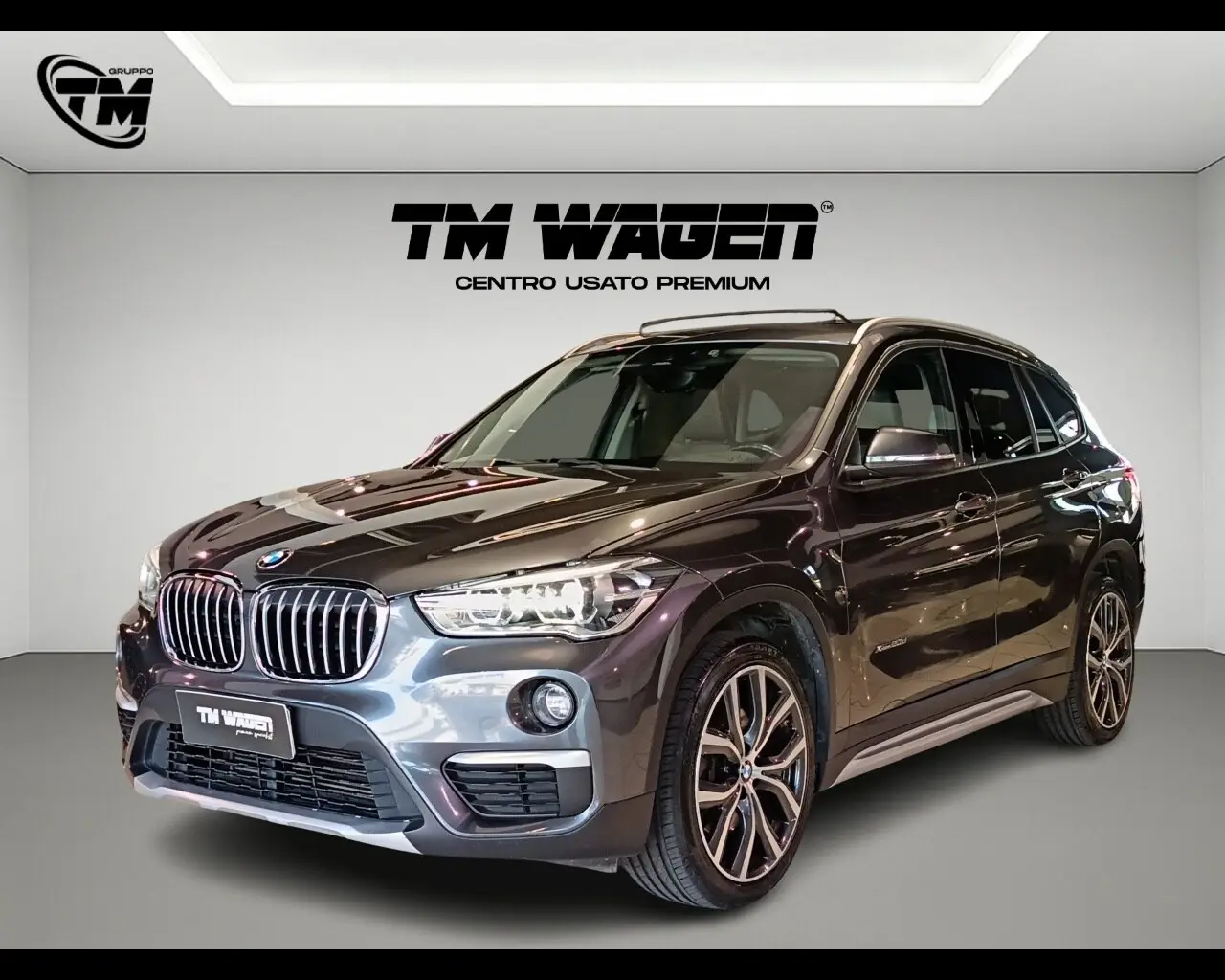 Immagine veicolo BMW X1 X1 xDrive20d xLine Diesel