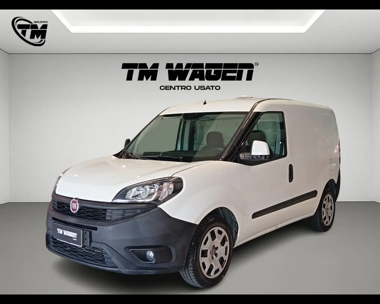 Immagine veicolo FIAT Doblò Doblò 1.4 T-Jet Natural Power PC-TN Cargo Lamierato Metano