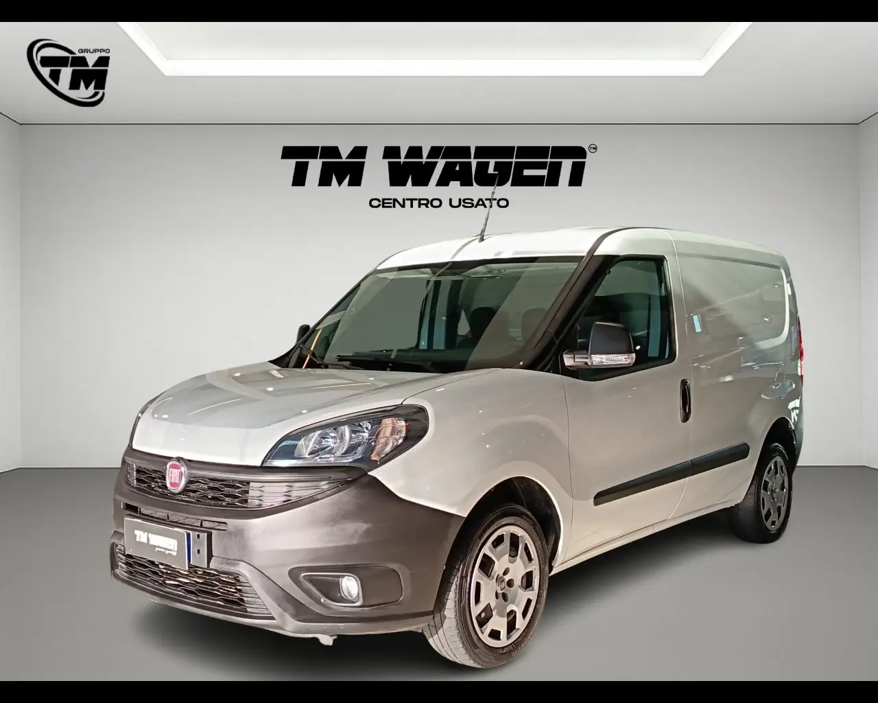 Immagine veicolo FIAT Doblò Doblò 1.4 Natural Power PC-TN Cargo Lounge Metano