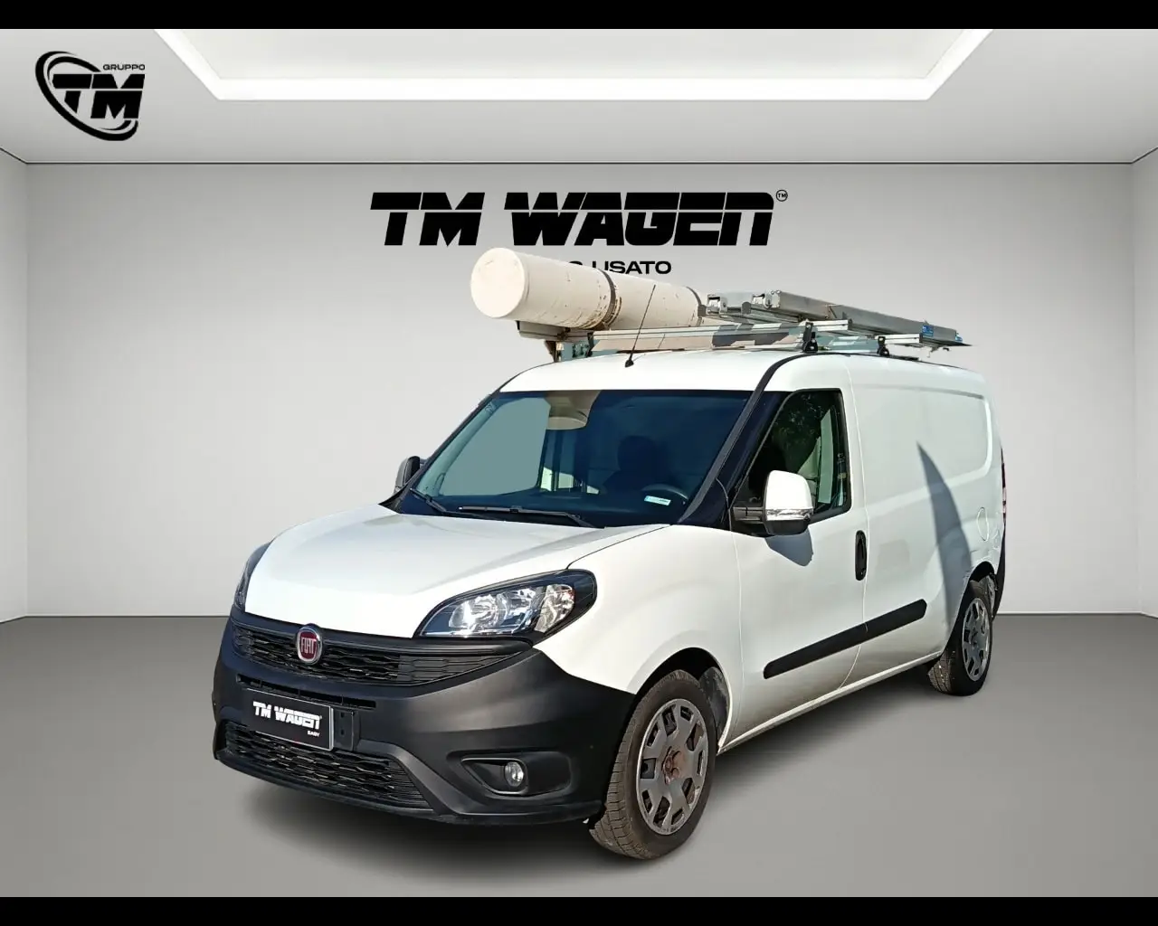 Immagine veicolo FIAT Doblò Doblò 1.4 T-Jet Natural Power PL-TN Cargo Maxi Lamierato SX Metano