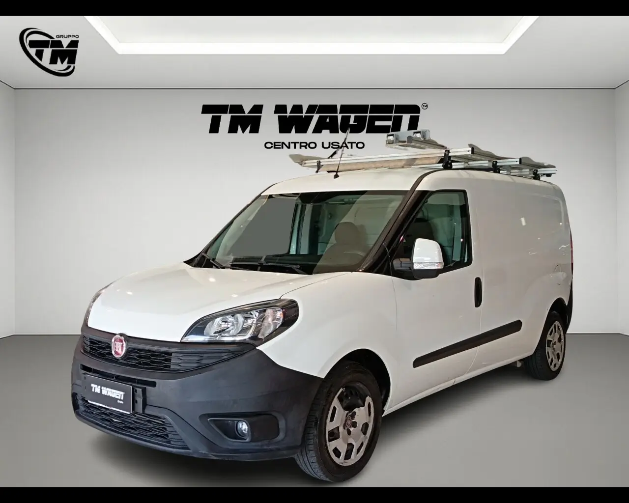 Immagine veicolo FIAT Doblò Doblò 1.4 T-Jet Natural Power PL-TN Cargo Maxi Lamierato SX Metano