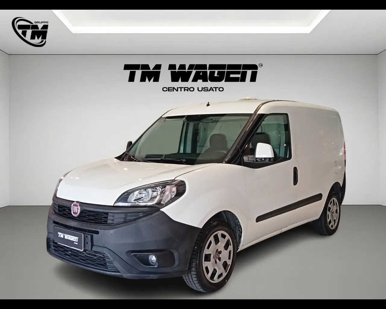 Immagine veicolo FIAT Doblò Doblò 1.4 T-Jet Natural Power PC-TN Cargo Lamierato Metano