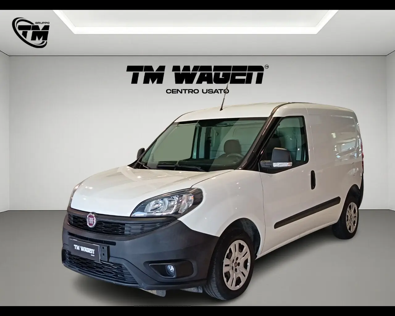 Immagine veicolo FIAT Doblò Doblò 1.3 MJT S&S PC-TN Cargo Lounge Diesel