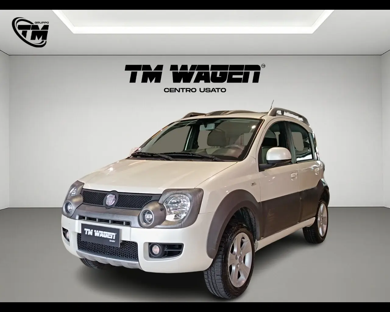 Immagine veicolo FIAT Panda Panda 1.3 MJT 16V 4x4 Cross Diesel