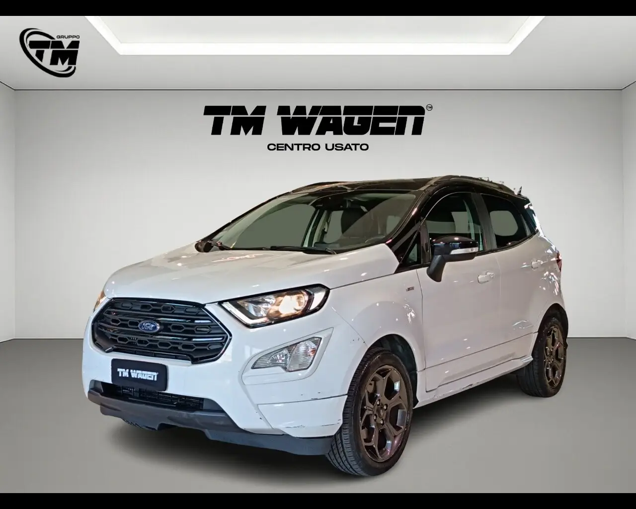 Immagine veicolo FORD EcoSport 1.0 EcoBoost 125 CV Start&Stop ST-Line Benzina