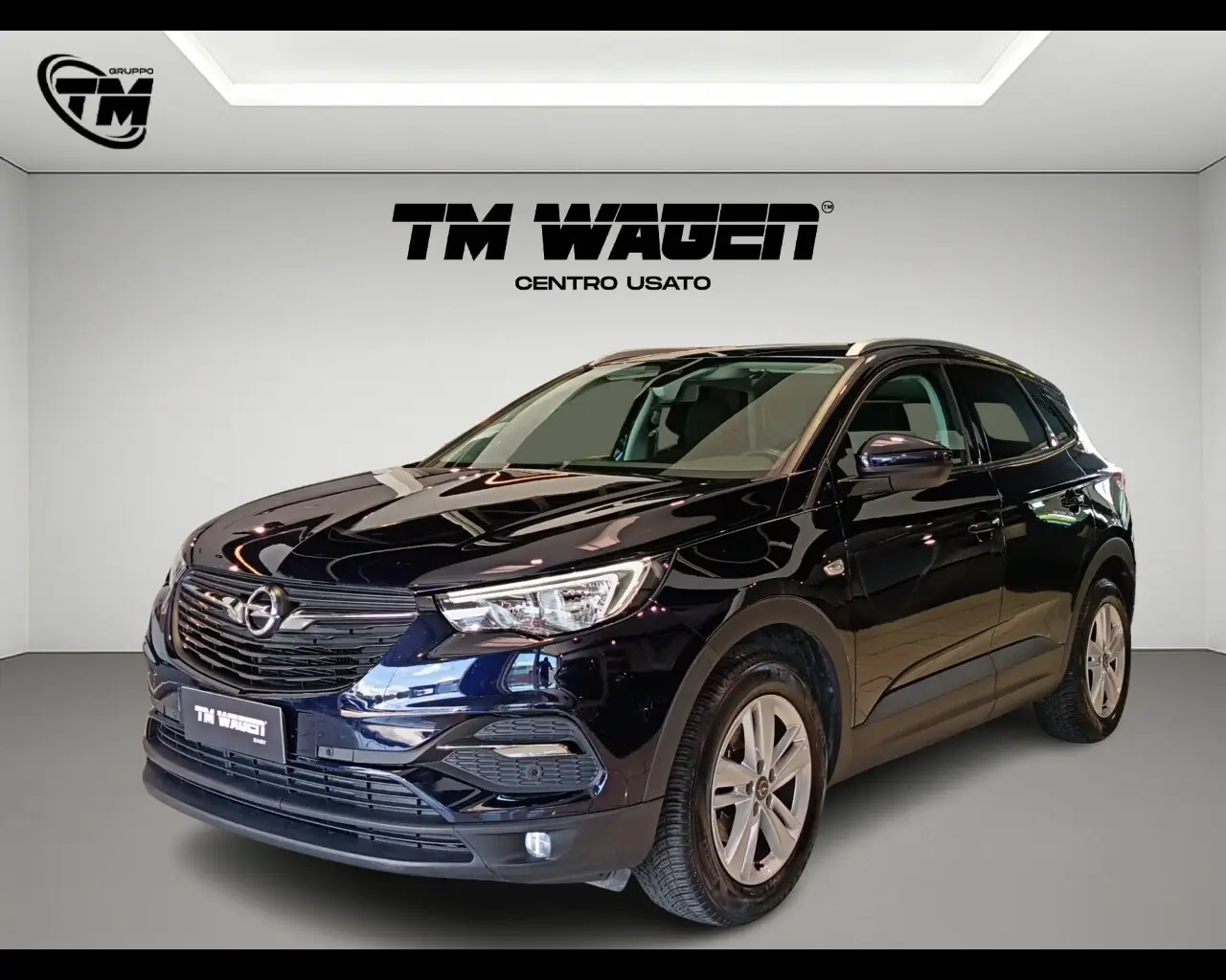 Immagine veicolo OPEL Grandland Grandland X 1.6 diesel Ecotec Start&Stop Business Diesel