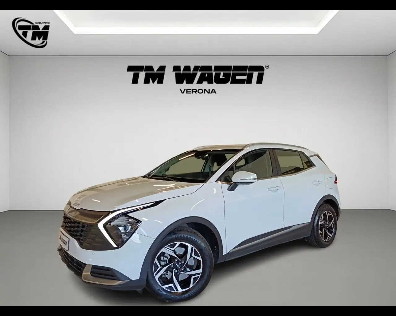 Immagine veicolo KIA Sportage Sportage 1.6 CRDi MHEV DCT Business Elettrica/Diesel