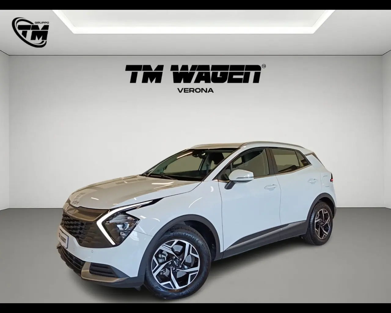 Immagine veicolo KIA Sportage Sportage 1.6 CRDi MHEV DCT Business Elettrica/Diesel