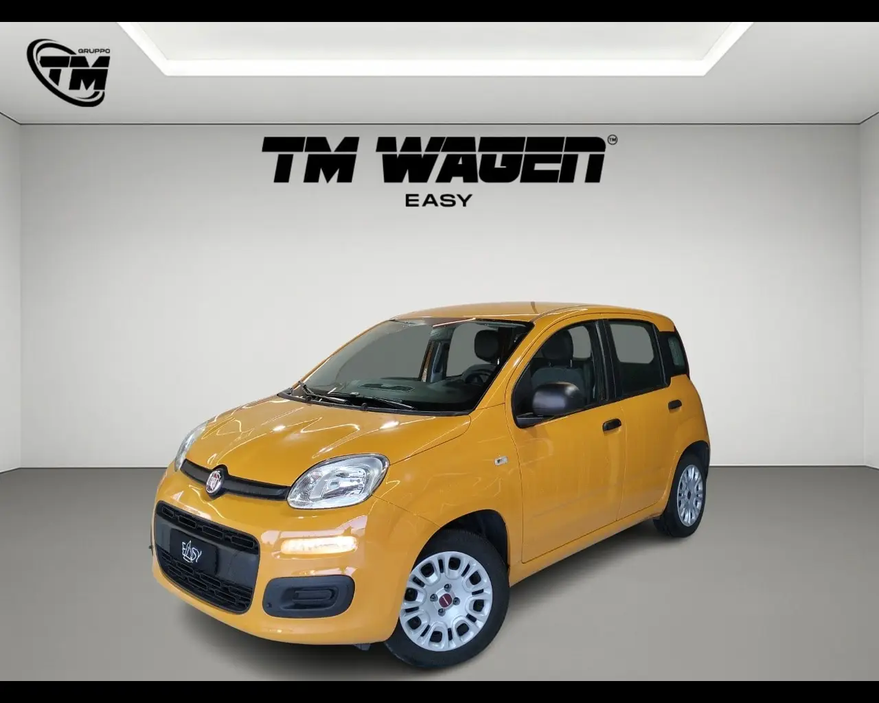 Immagine veicolo FIAT Panda Panda 1.0 FireFly S&S Hybrid Elettrica/Benzina