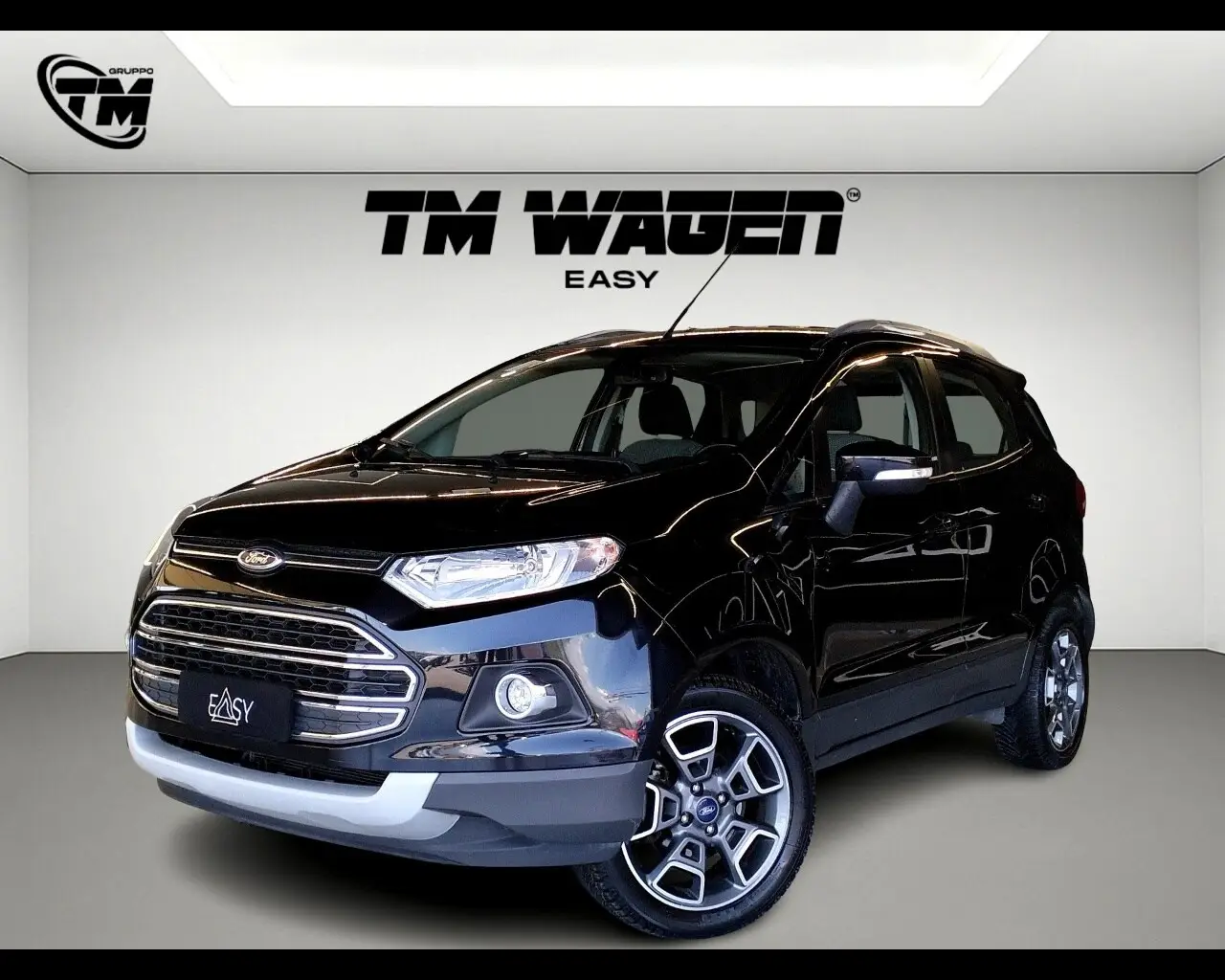 Immagine veicolo FORD EcoSport 1.5 TDCi 90 CV Diesel
