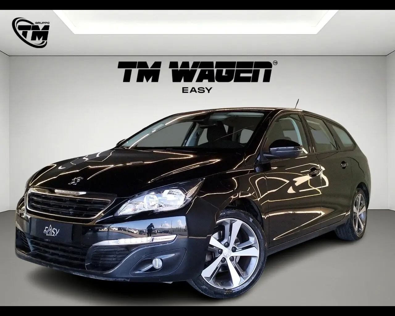Immagine veicolo PEUGEOT 308 308 BlueHDi 100 S&S SW Business Diesel